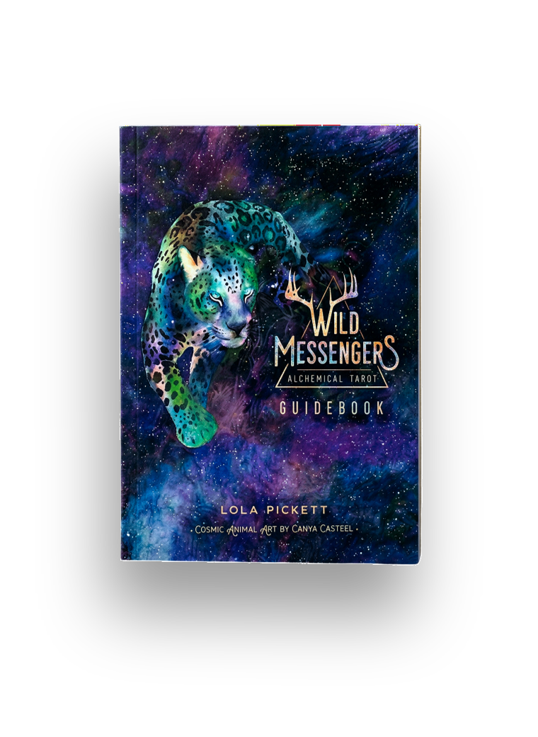 Wild Messengers guidebook with layered cosmic cover art