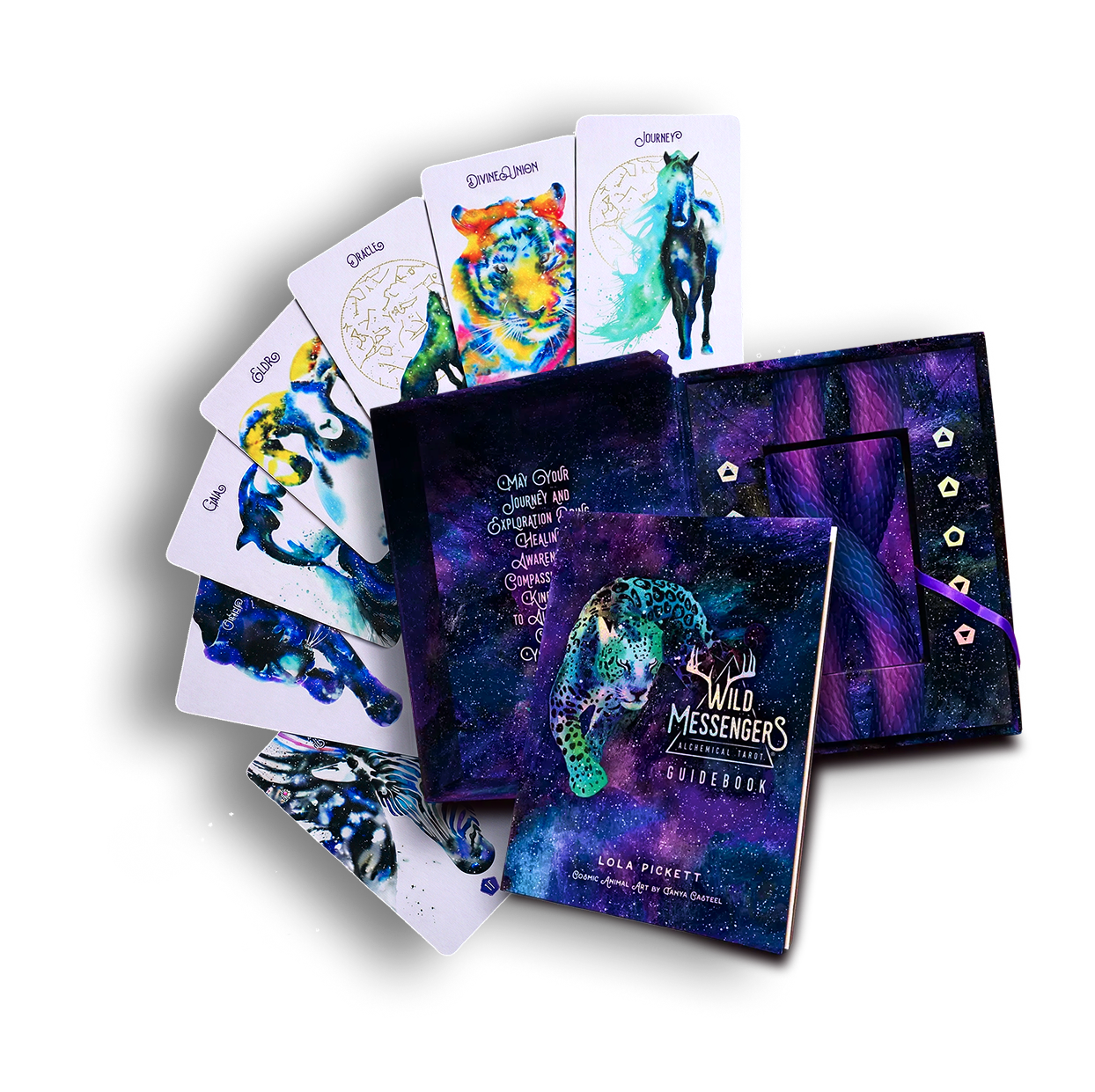 Wild Messengers cards, box set, and guidebook