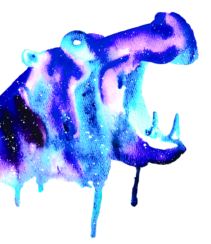 Wild boar watercolor illustration